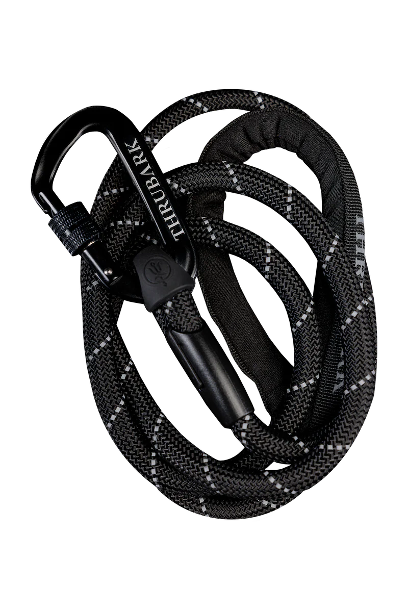 CARABINER DOG LEAD
