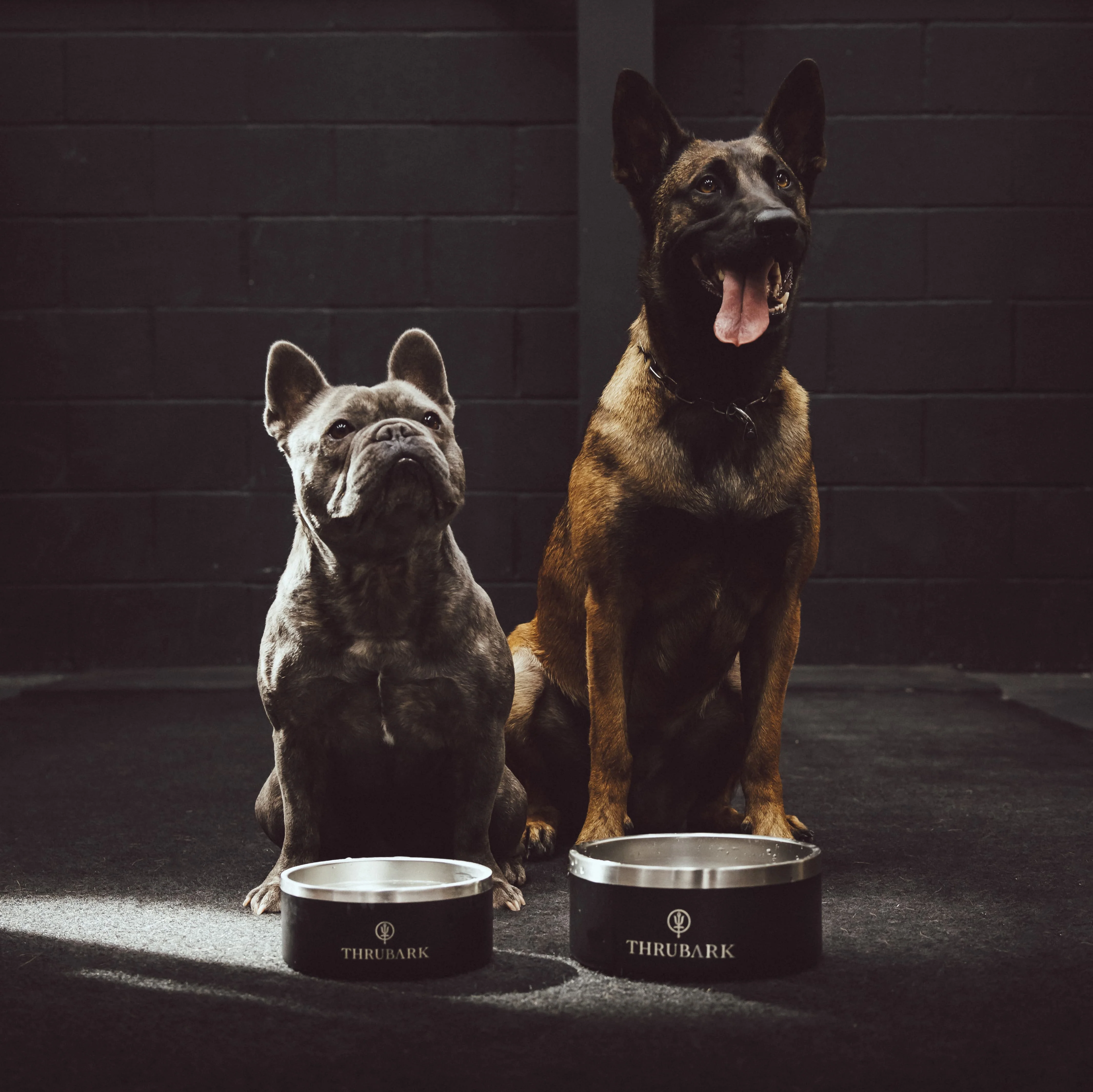 THRUBARK DOG BOWL - Image 4