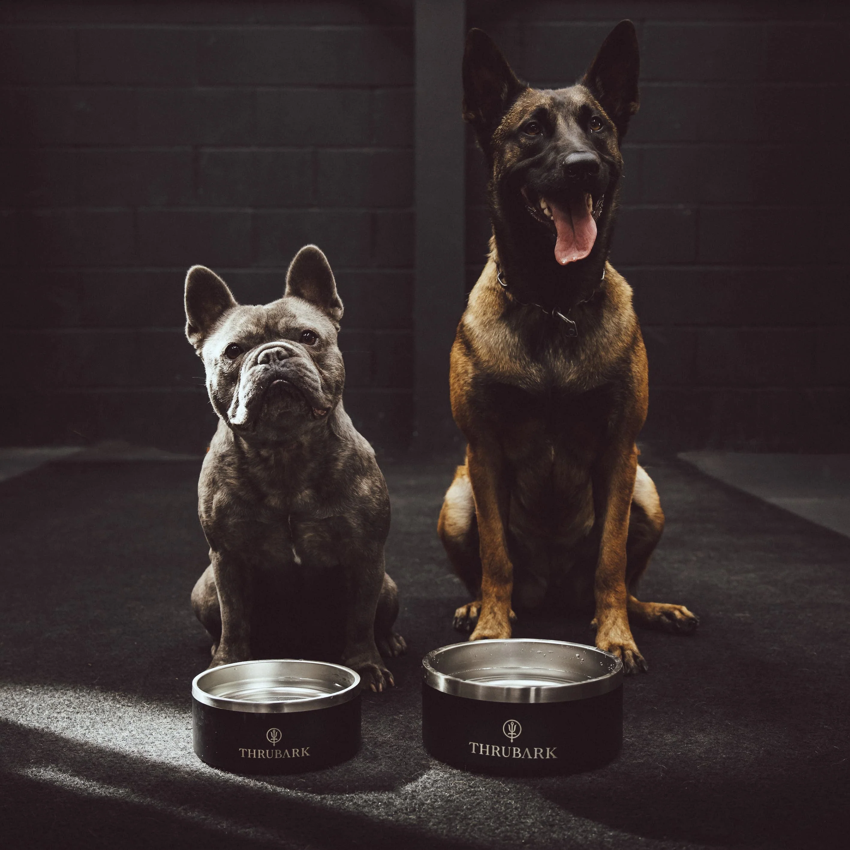 THRUBARK DOG BOWL - Image 5