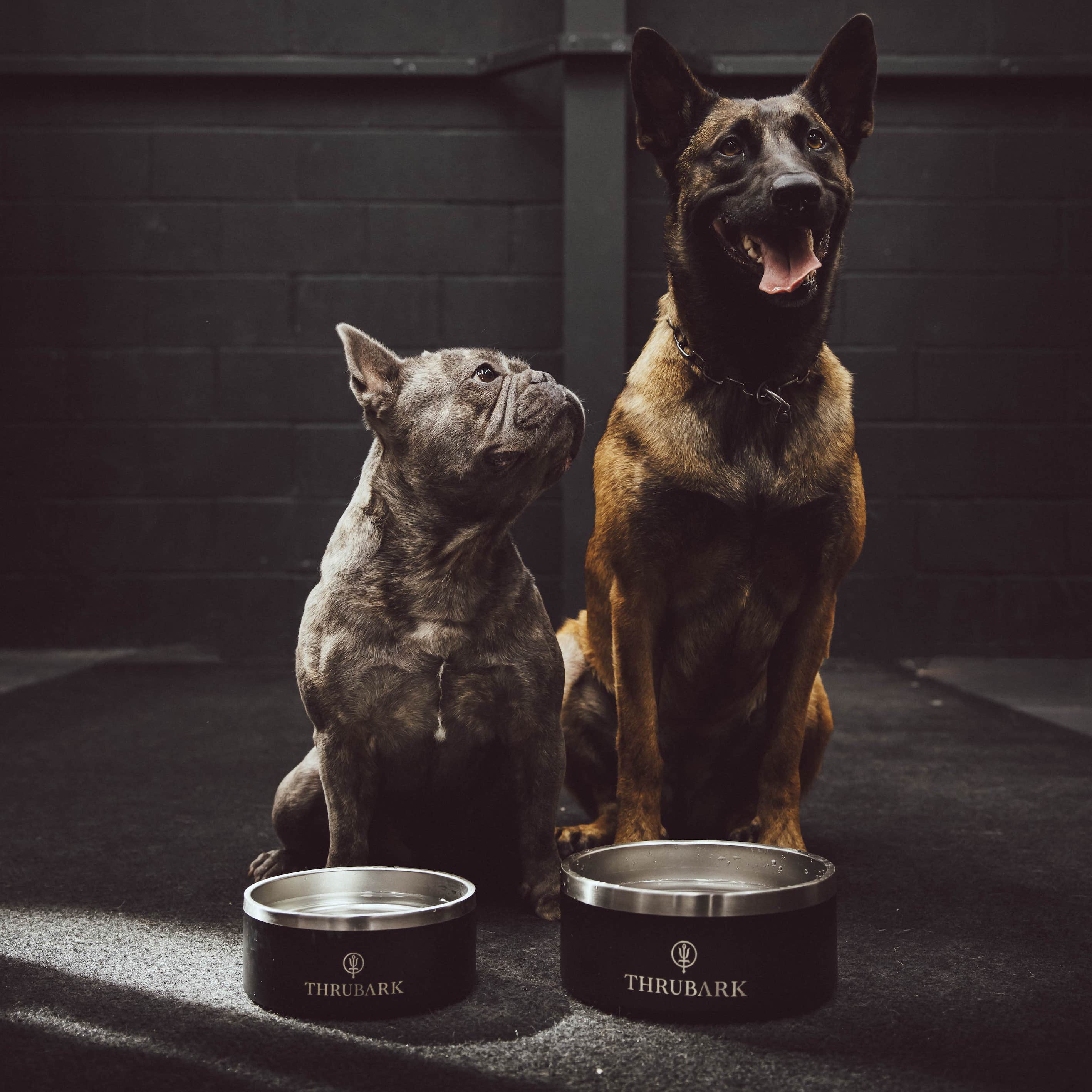 THRUBARK DOG BOWL - Image 6